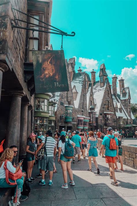 wizarding village|Muggles' Guide to Harry Potter/Places/Hogsmeade .